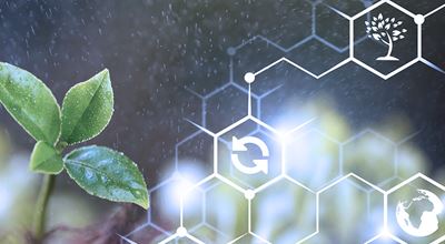 Green and sustainable monochloroacetic acid transforms chemical intermediates