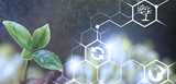 Green and sustainable monochloroacetic acid transforms chemical intermediates