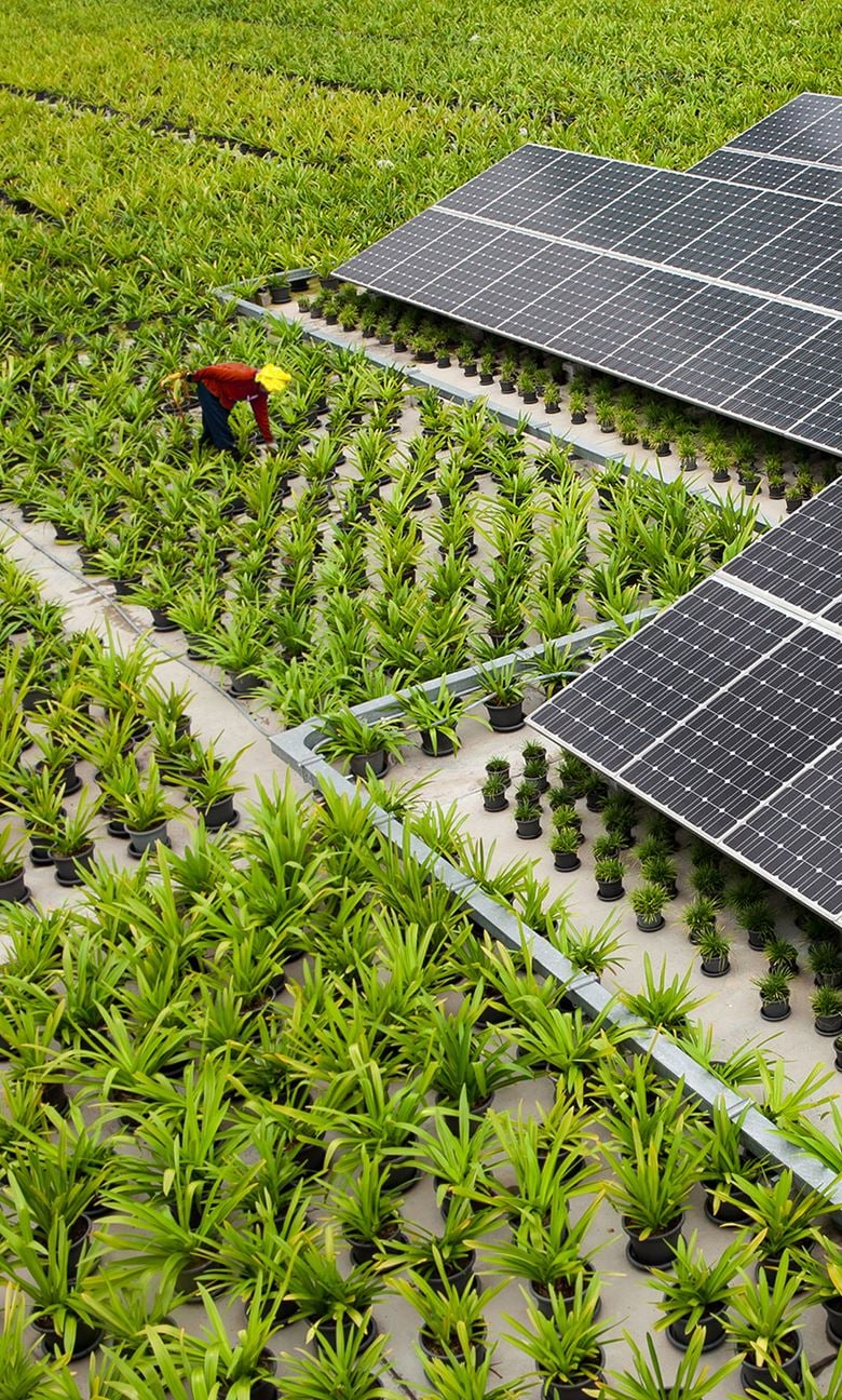 Sustainability
