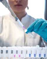 Crop protection - Technical service and support at the Lab