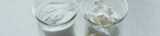 Two product samples in beakers with Expancel expanded thermoplastic microspheres lightweight fillers, with extremely low density. 