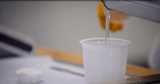 Pooring liquid in cup on lab