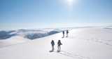 two couples of winter hikers with pack and skis passing over endless snowy hills on a cristal-clear sunny day