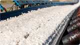 Potash clumps on conveyor