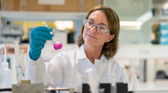 Nouryon laboratory employee views a pink liquid