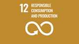 teaser image SDG 12: Ensure Sustainable Consumption and Production Patterns