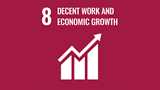 teaser image SDG 8: Promote sustained, inclusive and sustainable economic growth, full and productive employment and decent work for all