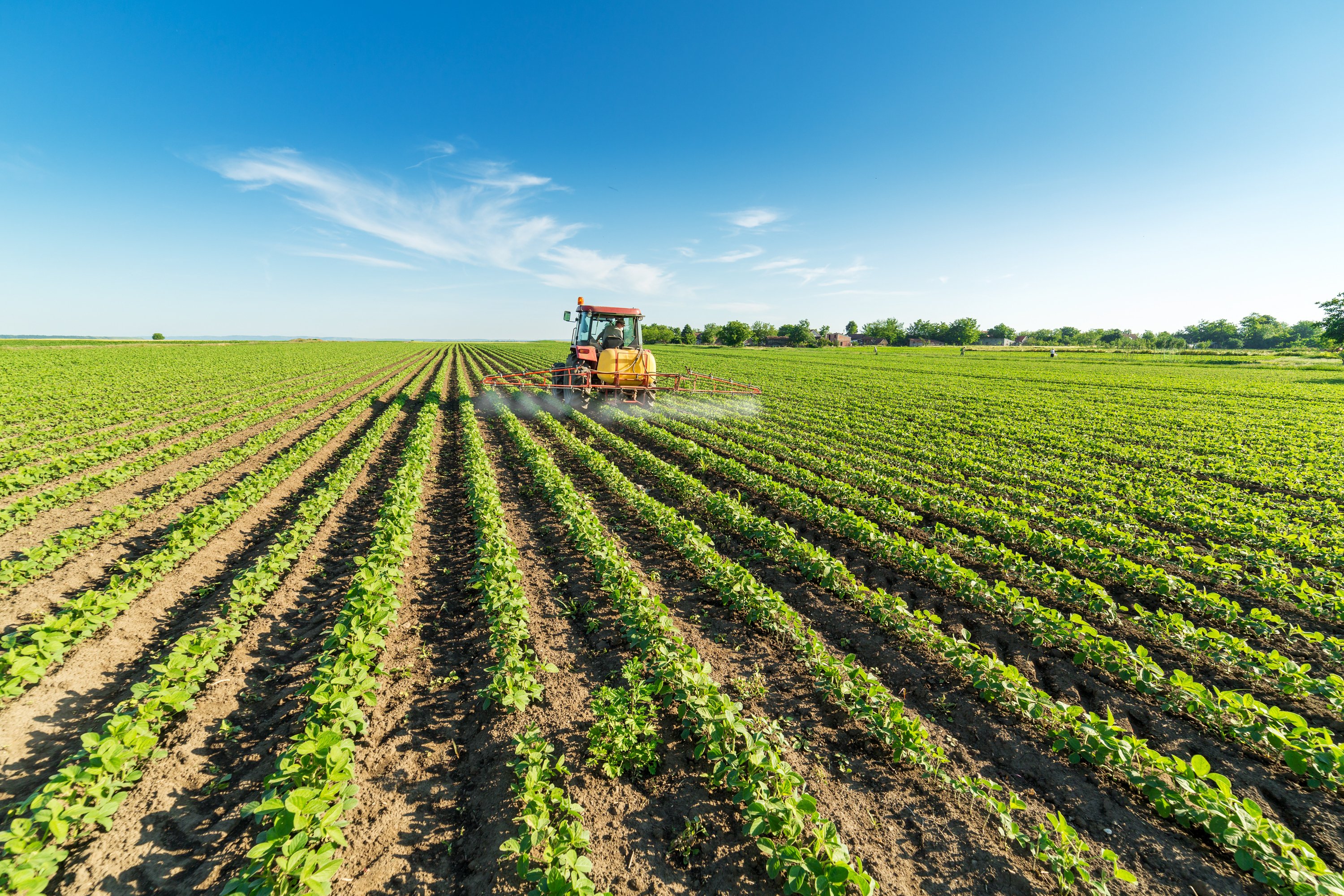 Green field with tractor