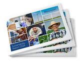 Sustainability Report 2024