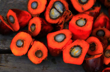 Sustainable sourcing