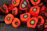 Sustainable sourcing